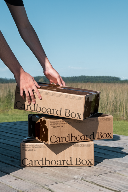 Cardboard Box 01