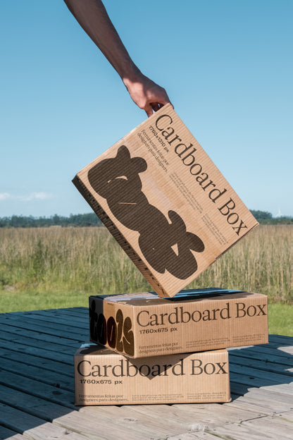 Cardboard Box 02