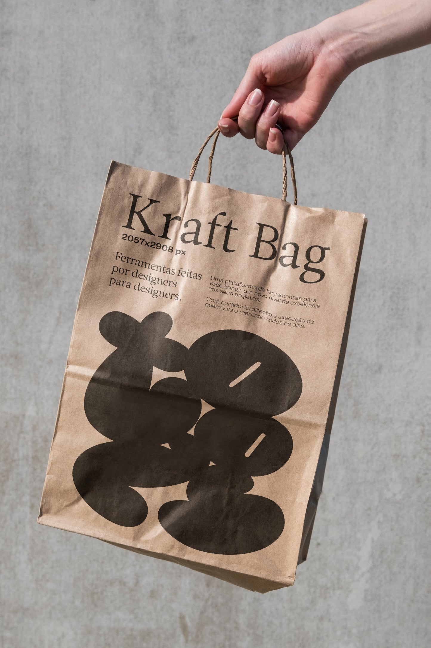 Kraft Bag 01