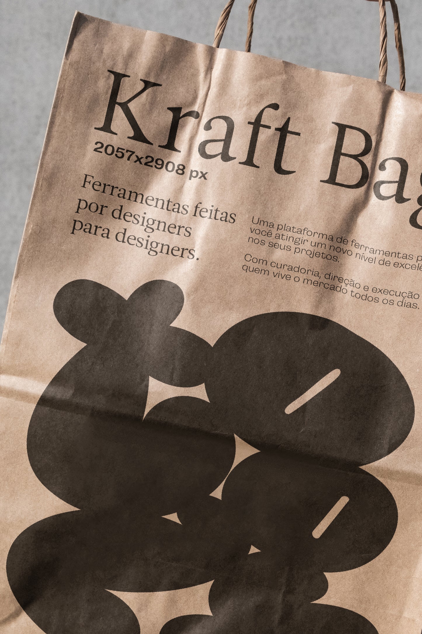 Kraft Bag 01